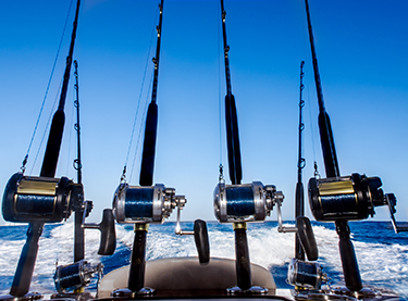 Setting-Up Saltwater Rigs: A Complete Guide - Fish Jumanji