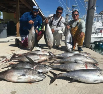 Tuna Fishing Miami