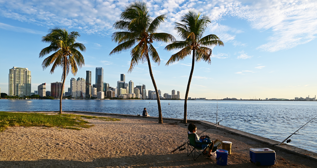 Rickenbacker Causeway Fishing